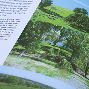 Green Antioch, a Trail Blitz booklet